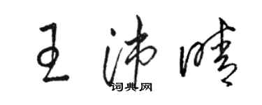 駱恆光王沛晴草書個性簽名怎么寫