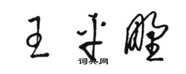 駱恆光王平野草書個性簽名怎么寫