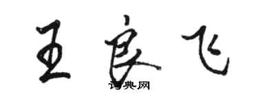 駱恆光王良飛行書個性簽名怎么寫