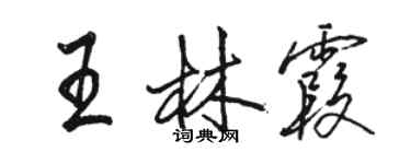 駱恆光王林霞行書個性簽名怎么寫