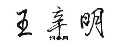 駱恆光王辛明行書個性簽名怎么寫