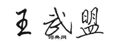 駱恆光王武盟行書個性簽名怎么寫