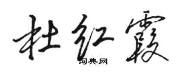 駱恆光杜紅霞行書個性簽名怎么寫