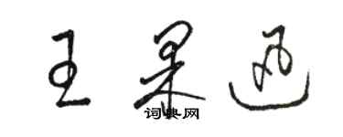 駱恆光王果迅草書個性簽名怎么寫