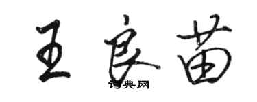駱恆光王良苗行書個性簽名怎么寫