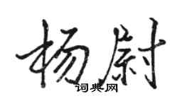 駱恆光楊尉行書個性簽名怎么寫