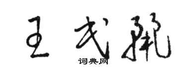駱恆光王民麗草書個性簽名怎么寫