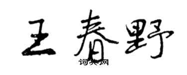 曾慶福王春野行書個性簽名怎么寫