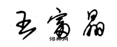 朱錫榮王富晶草書個性簽名怎么寫