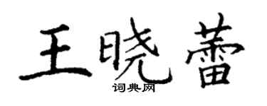 丁謙王曉蕾楷書個性簽名怎么寫