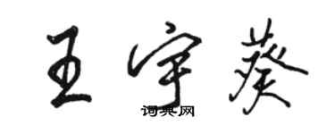 駱恆光王宇葵行書個性簽名怎么寫