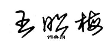 朱錫榮王昭梅草書個性簽名怎么寫