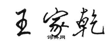 駱恆光王家乾行書個性簽名怎么寫