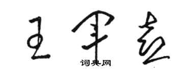 駱恆光王軍喜草書個性簽名怎么寫