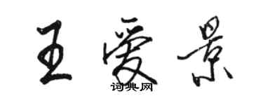 駱恆光王愛景行書個性簽名怎么寫