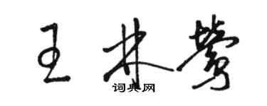 駱恆光王林鶯草書個性簽名怎么寫