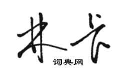 駱恆光林卡草書個性簽名怎么寫