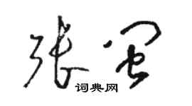 駱恆光張閩草書個性簽名怎么寫