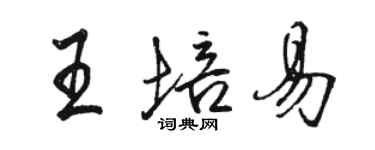 駱恆光王培易行書個性簽名怎么寫