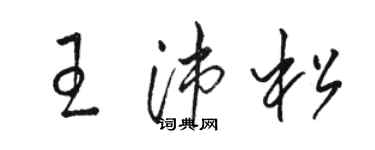 駱恆光王沛松草書個性簽名怎么寫