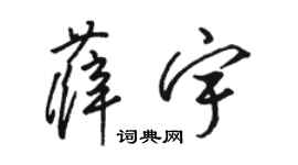 駱恆光薛宇草書個性簽名怎么寫