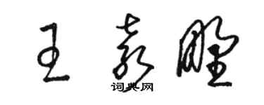駱恆光王袁野草書個性簽名怎么寫