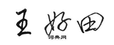 駱恆光王好田行書個性簽名怎么寫