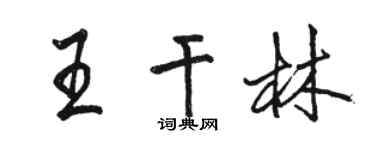 駱恆光王乾林行書個性簽名怎么寫