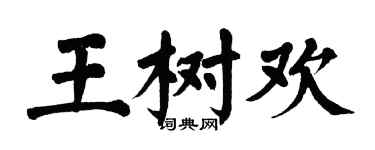 翁闓運王樹歡楷書個性簽名怎么寫