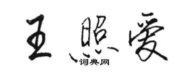 駱恆光王照愛行書個性簽名怎么寫