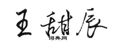 駱恆光王甜辰行書個性簽名怎么寫