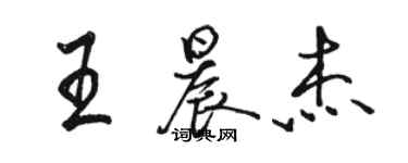 駱恆光王晨傑行書個性簽名怎么寫