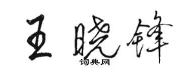 駱恆光王曉鋒行書個性簽名怎么寫