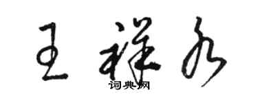 駱恆光王祥水草書個性簽名怎么寫