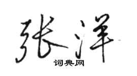 駱恆光張洋行書個性簽名怎么寫