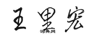 駱恆光王里宏行書個性簽名怎么寫