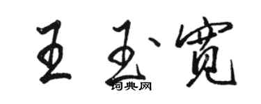 駱恆光王玉寬行書個性簽名怎么寫