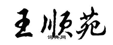 胡問遂王順苑行書個性簽名怎么寫