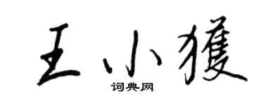 王正良王小獲行書個性簽名怎么寫