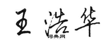 駱恆光王浩華行書個性簽名怎么寫