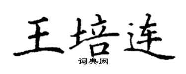 丁謙王培連楷書個性簽名怎么寫