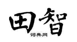 翁闓運田智楷書個性簽名怎么寫