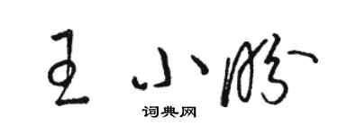 駱恆光王小盼草書個性簽名怎么寫