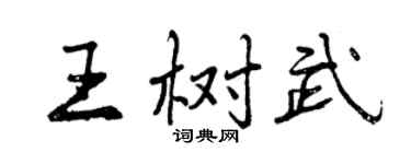 曾慶福王樹武行書個性簽名怎么寫