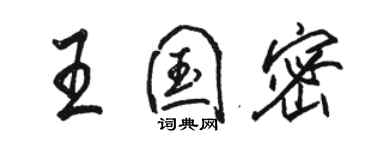 駱恆光王國密行書個性簽名怎么寫