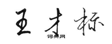 駱恆光王才標行書個性簽名怎么寫