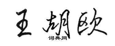 駱恆光王胡歐行書個性簽名怎么寫
