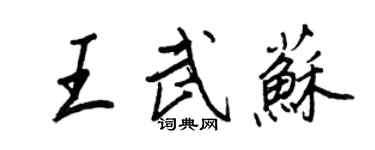 王正良王武蘇行書個性簽名怎么寫