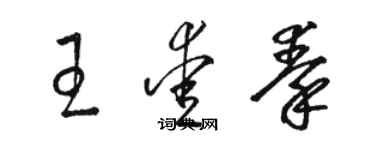 駱恆光王愛秦草書個性簽名怎么寫