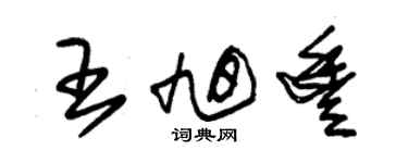 朱錫榮王旭豐草書個性簽名怎么寫